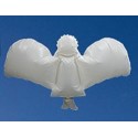 Ballon Ange Gardien  Lâcher de ballons